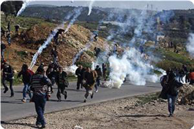 plf palestine_protestors