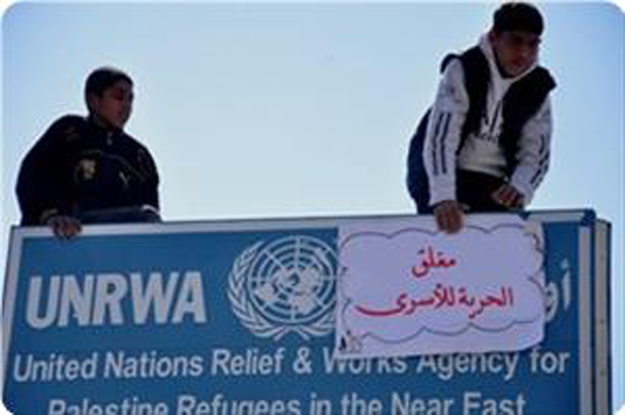 plf unrwa