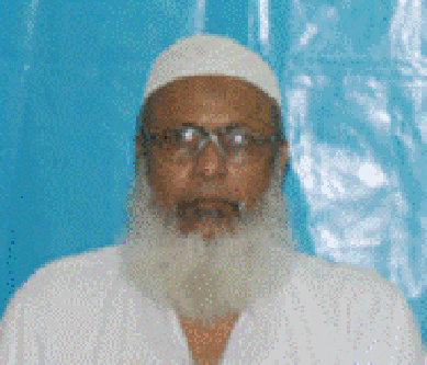 plf birgees ahmed