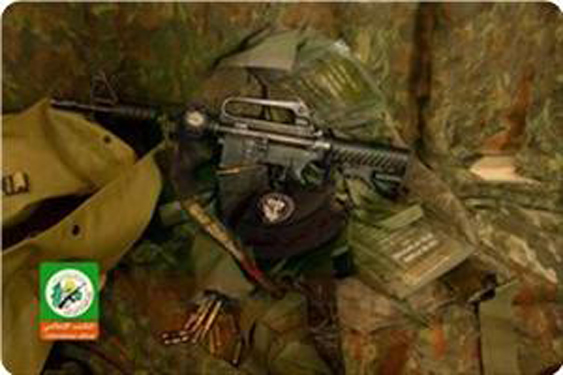 plf gorila