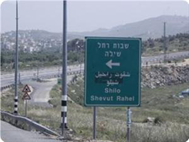 plf took-responsibility