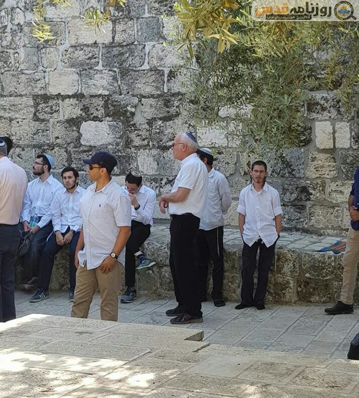 صیہونی آباد کاروں کاسرکاری شخصیت کےہمراہ مسجد الاقصیٰ پرحملہ