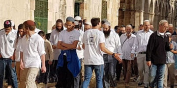 شرپسند یہودی آباد کاروں کا قبلہ اول کی بے حرمتی کا سلسلہ جاری