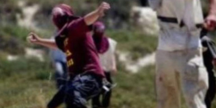 شرپسند یہودی آبادکاروں کا فلسطینی کسانوں پر حملہ، 5 زخمی