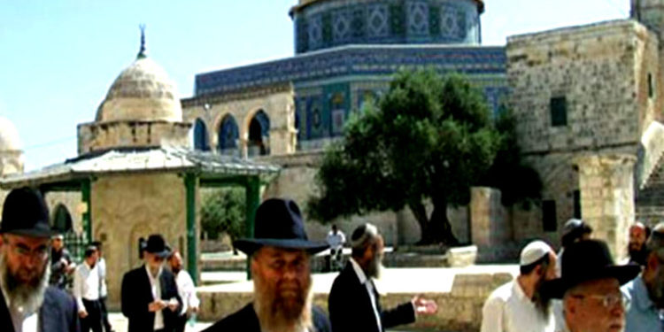 شرپسند یہودی آبادکاروں کی جانب سے مسجد اقصیٰ کی بے حرمتی جاری