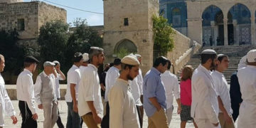 شرپسندیہودیوں کامسجد اقصیٰ پردھاوا، بے حرمتی کا سلسلہ جاری