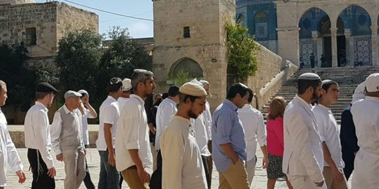 شرپسندیہودیوں کامسجد اقصیٰ پردھاوا، بے حرمتی کا سلسلہ جاری