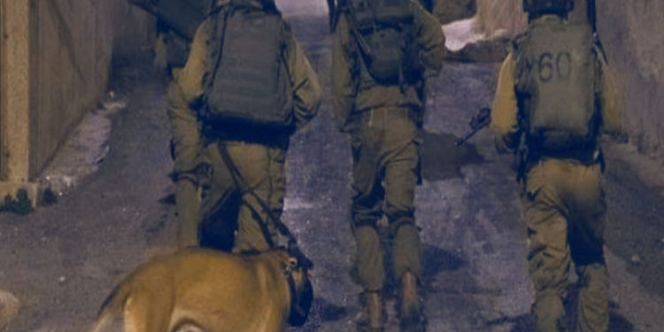 صیہونی فوج کے ہاتھوں دو طلباء اغواء ، علاقے کے سیکیورٹی کیمرے بھی ضبط