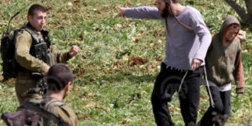 یہودی آبادکاروں کافلسطینی کسانوں پر حملہ، زیتون ضبط کرلئے