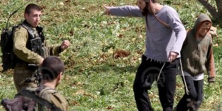 یہودی آبادکاروں کافلسطینی کسانوں پر حملہ، زیتون ضبط کرلئے