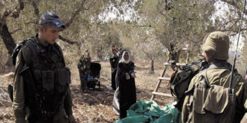 شرپسند یہودی آبادکاروں کے فلسطینی کسانوں پر حملے جاری