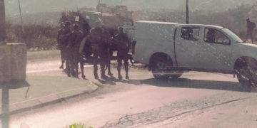 دیوار علیحدگی کے قریب صیہونی فوج کی فائرنگ  سے فلسطینی نوجوان زخمی