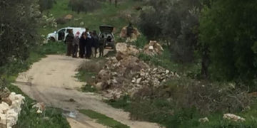 صیہونی فوج نےفلسطینی کسانوں کے تیار زیتون ضبط کرلئے