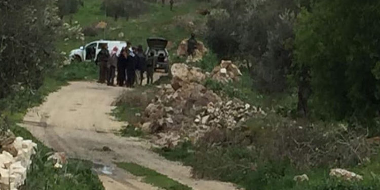 صیہونی فوج نےفلسطینی کسانوں کے تیار زیتون ضبط کرلئے