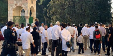 یہودی جنونیوں کی جانب سےمسجداقصیٰ کی بے حرمتی کا سلسلہ جاری