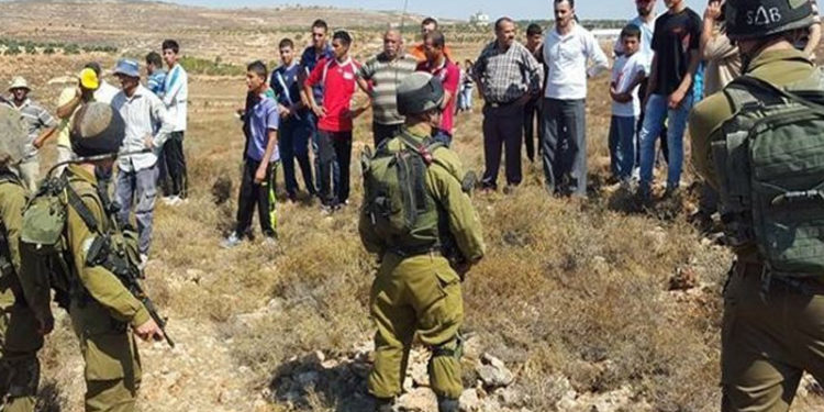 صیہونی فوج نے فلسطینی کسانوں کو کاشتکاری سے روک دیا
