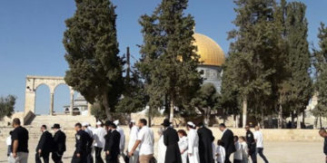 یہودی جنونیوں کی جانب سے مسجد اقصیٰ کی بےحرمتی کا سلسلہ جاری