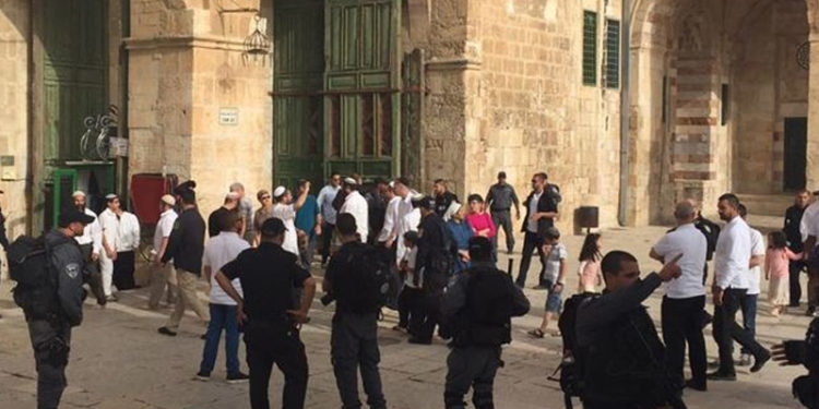 درجنوں صیہونی جنونیوںکامسجداقصیٰ پردھاوا