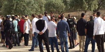 یہودی آبادکاروں کامسجد اقصیٰ پر دھاوا،بے حرمتی کاسلسلہ جاری