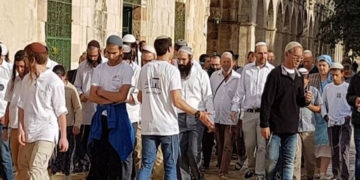 یہودی مذہبی جنونیوں کا مسجد اقصیٰ پردھاوے کاسلسلہ جاری