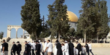 شرپسند یہودی آبادکاروں کامسجد اقصیٰ پردھاوا،بے حرمتی کا سلسلہ جاری