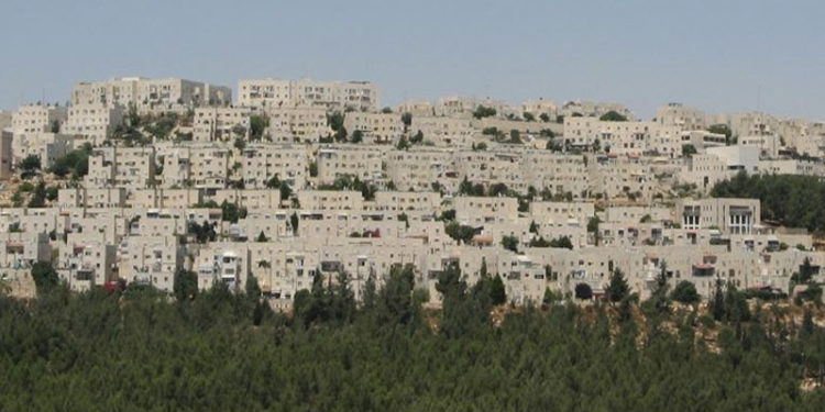 عالمی برادری اسرائیل کو فسطین میں یہودی آباد کاری سے روکے، اردن