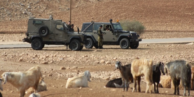 صیہونی فوج کی فلسطینی کسانوں پر فائرنگ، متعدد مویشی ہلاک