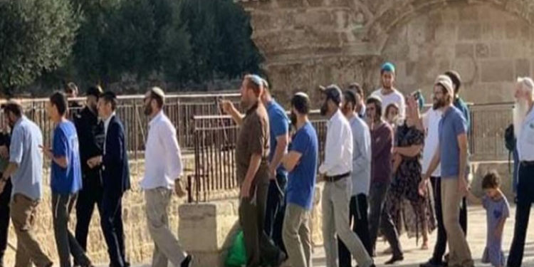 یہودی آبادکاروں کا مسجد اقصیٰ پر دھاوا،بے حرمتی کا سلسلہ جاری