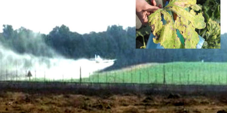 صیہونی فوج کا فلسطینیوں کے کھیتوں پر زہریلی ادویات کااسپرے