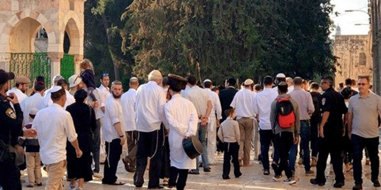یہودی آباکاروں کاقبلہ اول پر دھاوا ، مسجد اقصیٰ کی بے حرمتی جاری
