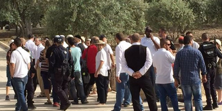 یہودی شرپسندوں کا قبلہ اول پر دھاوا،مسجد اقصیٰ کی بے حرمتی جاری