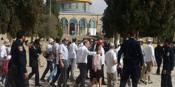 یہودی شرپسندوں کے قبلہ اول پر دھاوے،بےحرمتی کا سلسلہ جاری