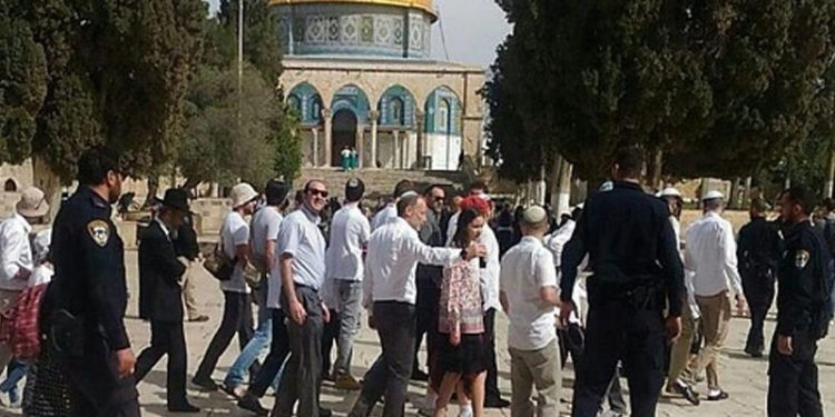 یہودی شرپسندوں کے قبلہ اول پر دھاوے،بےحرمتی کا سلسلہ جاری