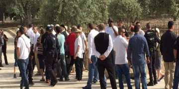 مسجد اقصیٰ پر صیہونی آبادکاروں کا دھاوا،بے حرمتی کا سلسلہ جاری