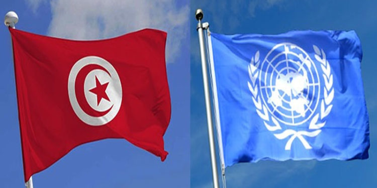 سلامتی کونسل میں پیش کردہ قرارداد واپس نہیں لی ،تیونس