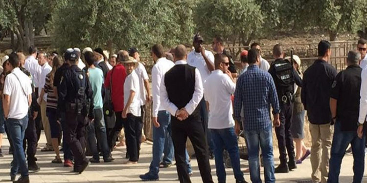 شرپسند یہودی مذہبی جنونیوں کامسجد اقصیٰ پردھاوا، بے حرمتی کا سلسلہ جاری