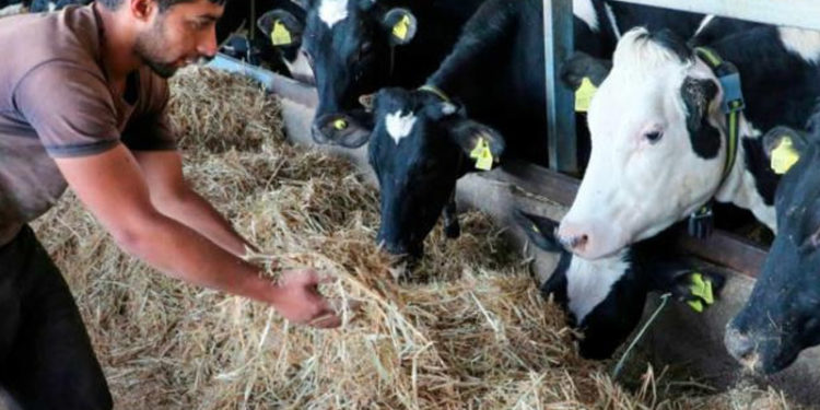 فلسطینی اتھارٹی اور اسرائیل کے درمیان تجارتی معاملات بحال