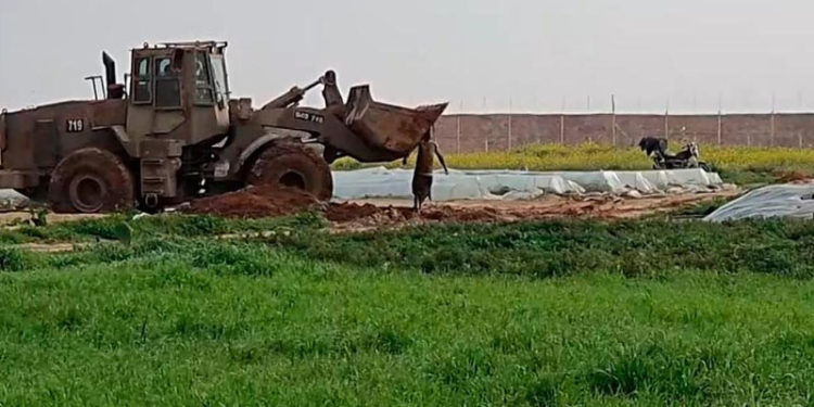 فلسطینی شہید کی لاش کی بےحرتمی منظم نسل پرستانہ اور قابل نفرت جنگی جرم