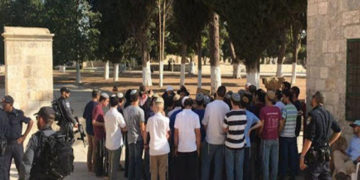 شرپسند صیہونی آبادکاروں کامسجد اقصٰی پر دھاوا، قبلہ اول کی بے حرمتی کا سلسلہ جاری