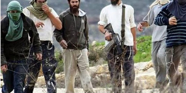 شرپسندیہودی آبادکاروں کے فلسطینی بستیوں پرحملے جاری، دو فلسطینی زخمی، املاک تباہ