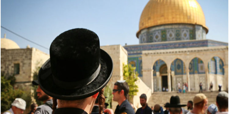 شرپسند صیہونی آبادکاروں کی جانب سے قبلہ اول کی بے حرمتی کا سلسلہ جاری