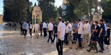 شرپسند صیہونی مذہبی جنونیوں کا مسجد اقصیٰ پر دھاوا،قبلہ اول کی بے حرمتی جاری