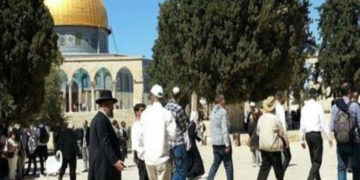 قبلہ اول پر شرپسند صیہونی آبادکاروں کے دھاوے جاری