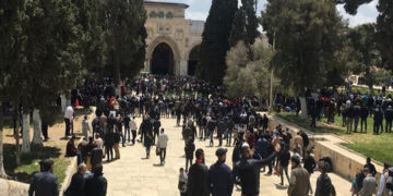 گزشتہ ہفتے کے دوران 600 سے زائد صیہونی آبادکاروں نے مسجد اقصیٰ کی بے حرمتی کی
