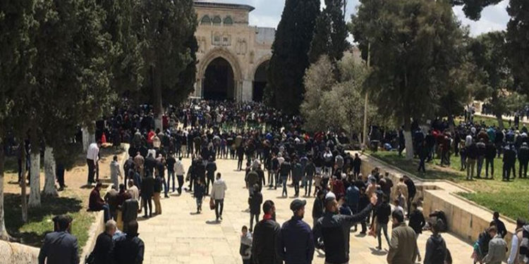 گزشتہ ہفتے کے دوران 600 سے زائد صیہونی آبادکاروں نے مسجد اقصیٰ کی بے حرمتی کی