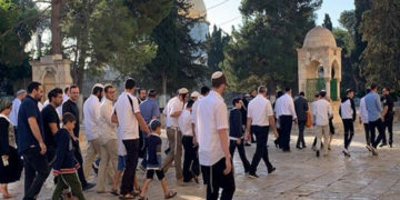 شرپسند صیہونی آبادکاروں کا مسجد اقصیٰ پر دھاوا،بے حرمتی کا سلسلہ جاری