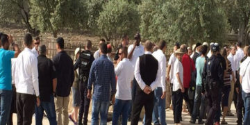 صیہونی آبادکاروں کا مسجد اقصٰی پردھاوا،قبلہ اول کی بے حرمتی کا سلسلہ جاری