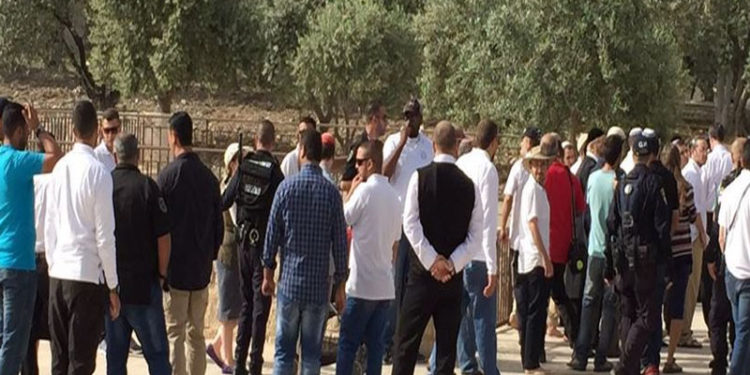 صیہونی آبادکاروں کا مسجد اقصٰی پردھاوا،قبلہ اول کی بے حرمتی کا سلسلہ جاری