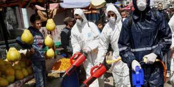 غزہ میں کورونا وائرس کےدو نئے کیسوں کی تصدیق، تعداد 15 ہوگئی