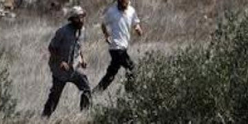 شرپسند صیہونی آبادکاروں کے فلسطینی آبادیوں پر حملے جاری